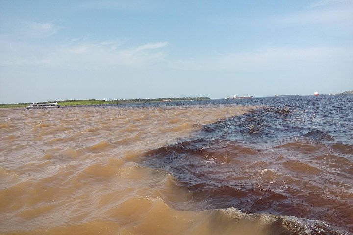 Taste of the Amazon Jungle 3D-2N-A Amazon Tapiri Floating Lodge