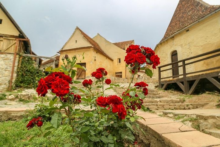 From Brasov: Bran, Rasnov & Peles Castles Small-Group Tour