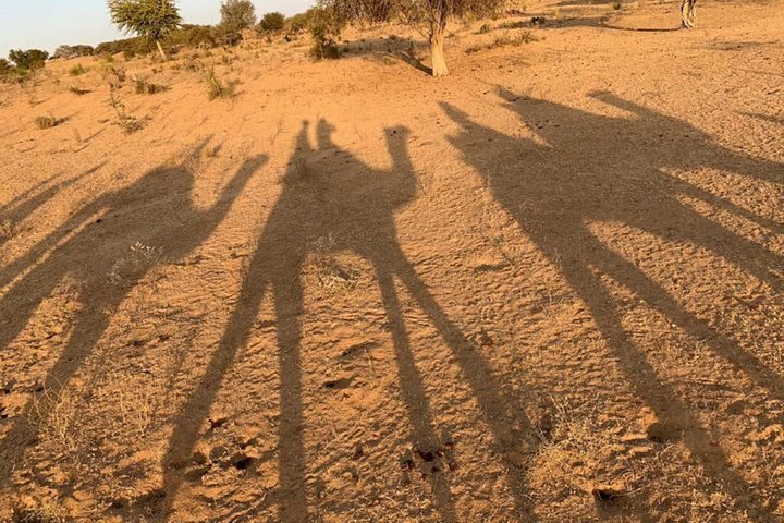 Private Transfer From Bikaner To Jaisalmer
