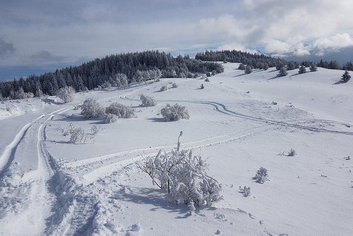 Private & Tremendous Jeep Safari in the 7 Rila Lakes area