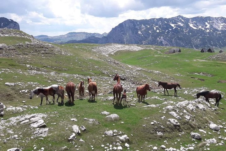 Durmitor Ring Tour
