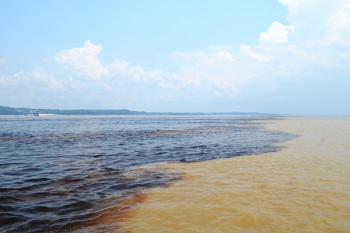 Amazon Negro River Half-Day Expedition Tour
