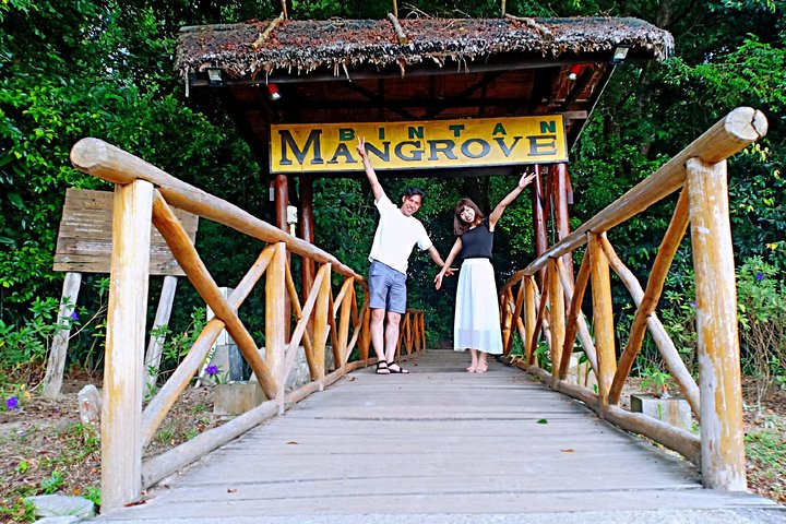 Bintan Mangrove Discovery Tour