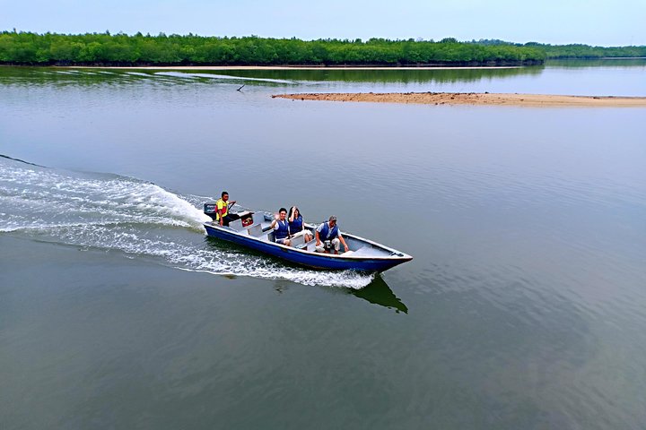 Bintan Mangrove Discovery Tour
