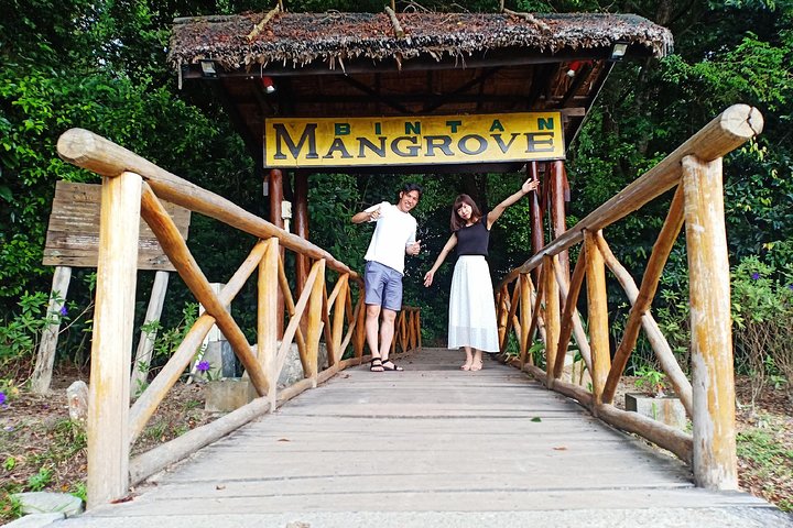Bintan Mangrove Discovery Tour