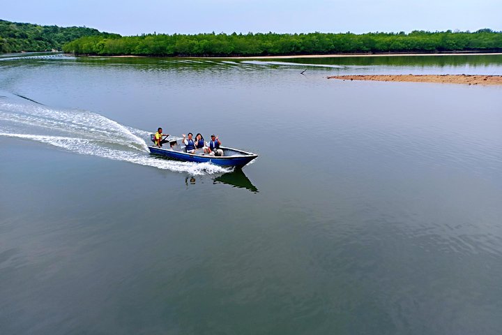 Bintan Mangrove Discovery Tour