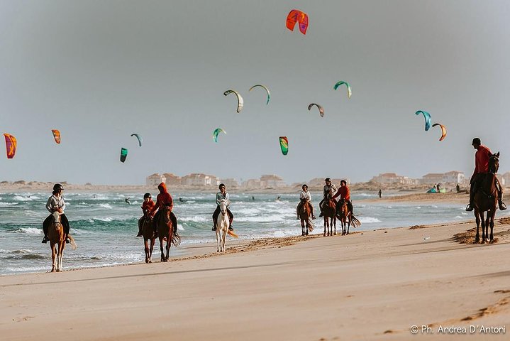Horse Riding in Sal Island - Cabo Verde