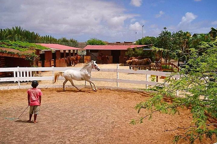 Horse Riding in Sal Island - Cabo Verde