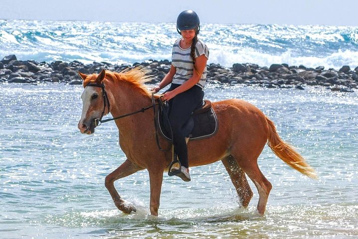 Horse Riding in Sal Island - Cabo Verde