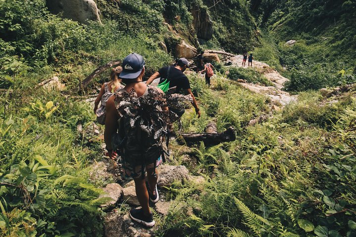 Half-Day Yunque Rainforest Waterslide & rope swing Guided Tour