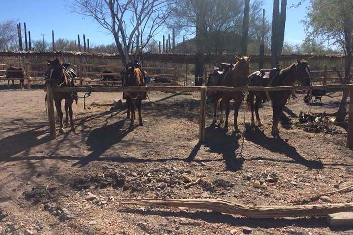 Horseback ride and witness magical sunset of Loreto, BCS