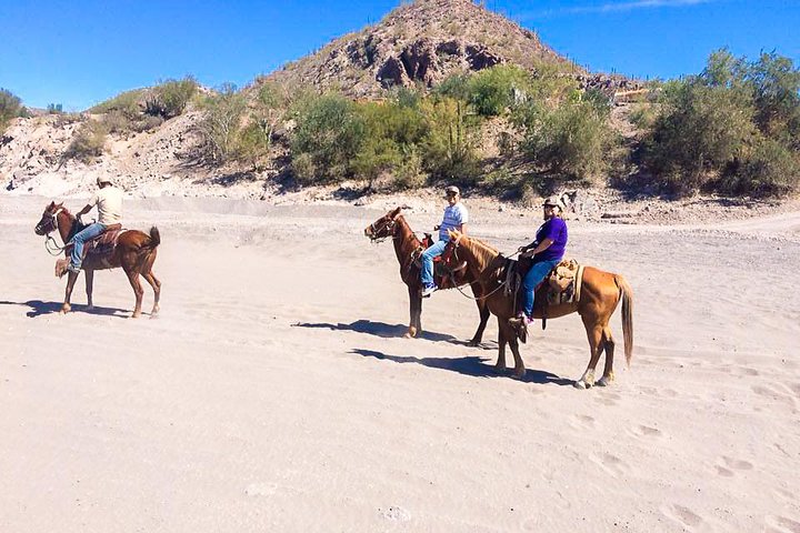 Horseback ride and witness magical sunset of Loreto, BCS
