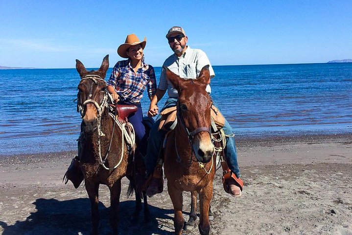 Horseback ride and witness magical sunset of Loreto, BCS