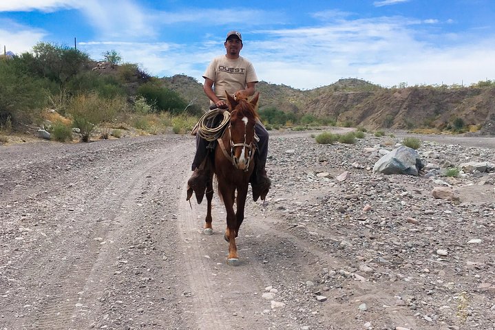 Horseback ride and witness magical sunset of Loreto, BCS