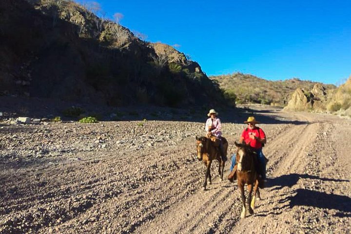 Horseback ride and witness magical sunset of Loreto, BCS