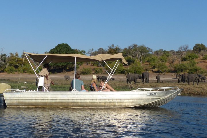 Chobe Full Day Trip From Victoria Falls