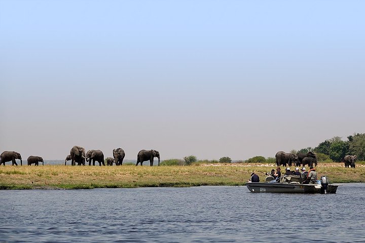 Chobe Full Day Trip From Victoria Falls