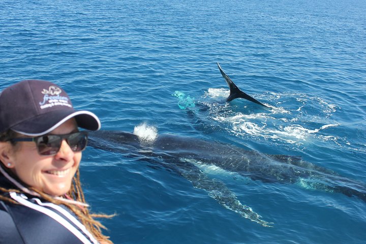 Freedom Whale Watch Cruise - Hervey Bay
