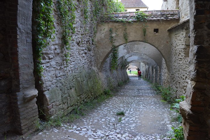 Exclusive tour: Sighisoara, Medias and Biertan tour from Sibiu