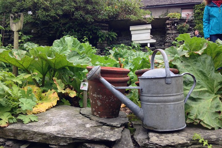 Beatrix Potter's Tour from Oxenholme Including Lake Cruise