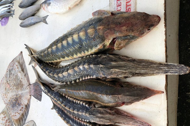 Privoz Market and Moldavanka Tour