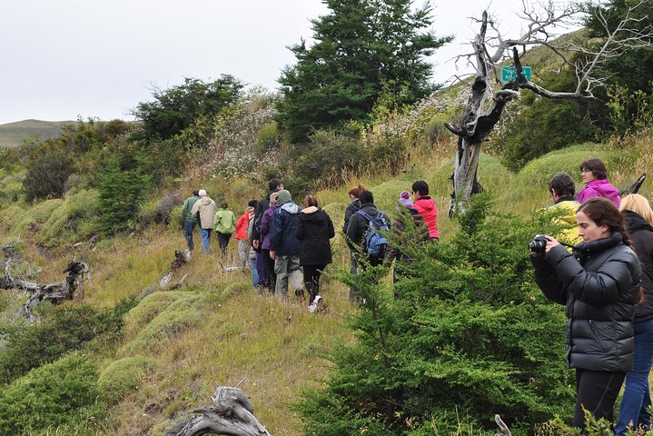 Torres Del Paine Full Day Overland Truck 4x4 from El Calafate
