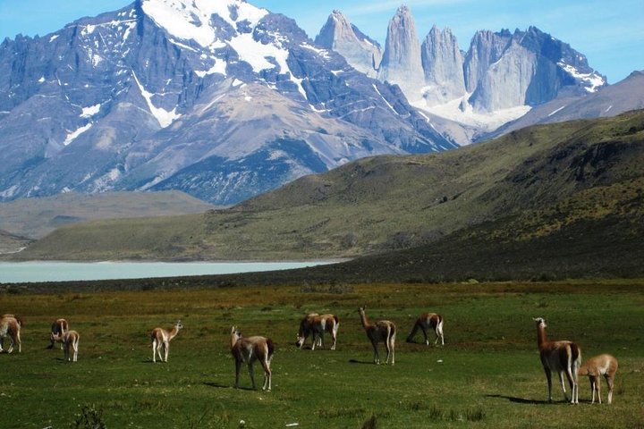 Torres Del Paine Full Day Overland Truck 4x4 from El Calafate