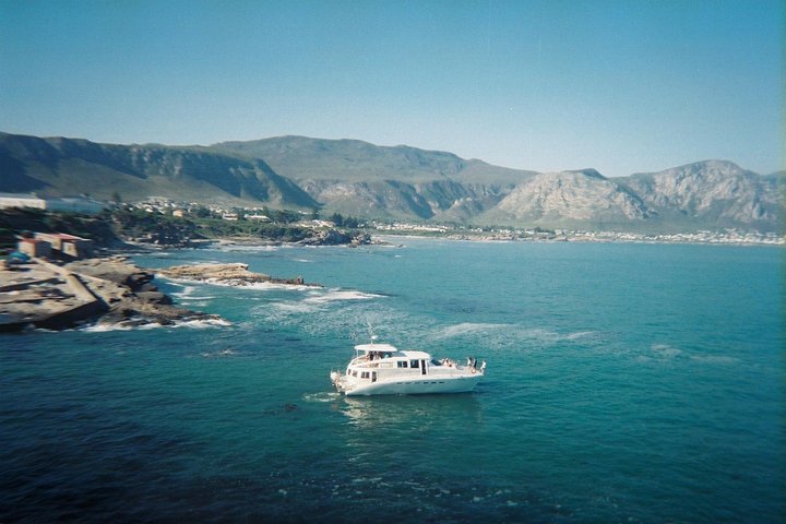 Boat Based Whale Watching from Hermanus