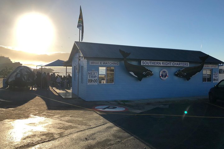 Boat Based Whale Watching from Hermanus