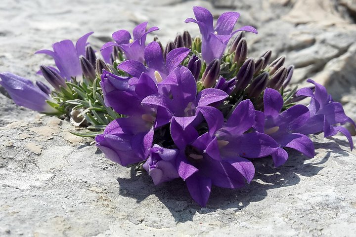 Biokovo Skywalk