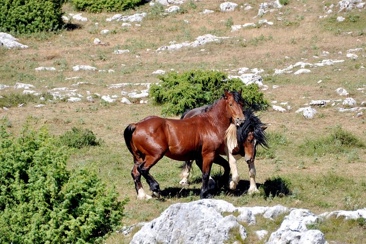 Biokovo Skywalk