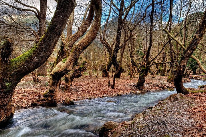 Explore nature & history in Kalavryta