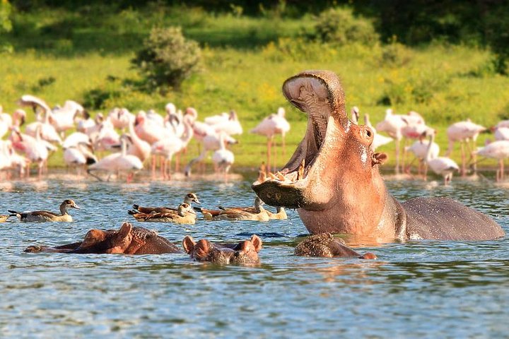 Hell's Gate Guided Tour with Option Boat Ride at Lake Naivasha