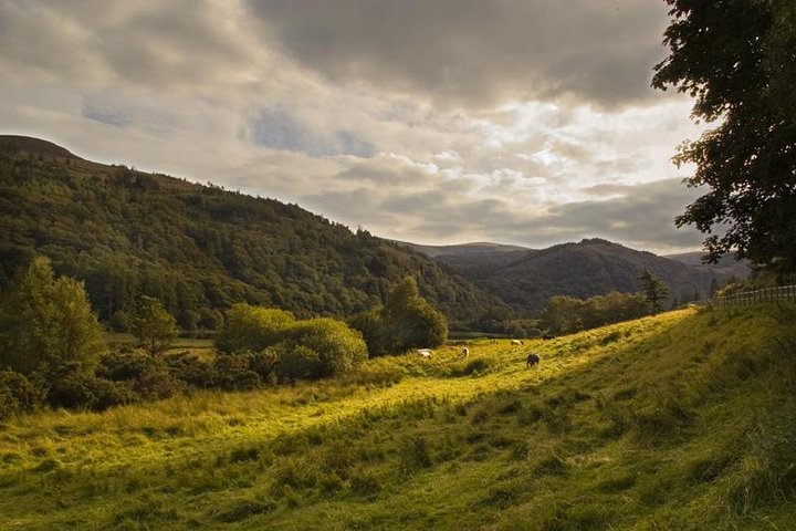 Dublin to Glendalough, Wicklow and Kilkenny Full Day Guided Tour