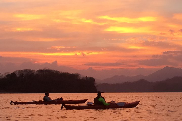Bioluminescent Kayak Tour