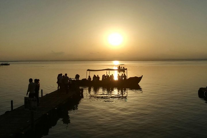 Albufera Natural Park Tour from Valencia: Boat Ride & Local Guide
