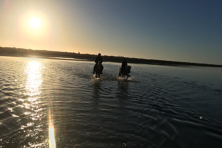 Horseback riding at sunrise 3h