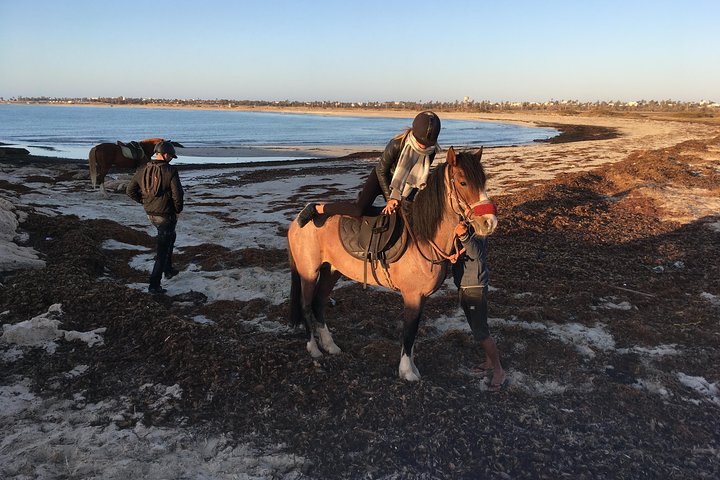 Horseback riding at sunrise 3h