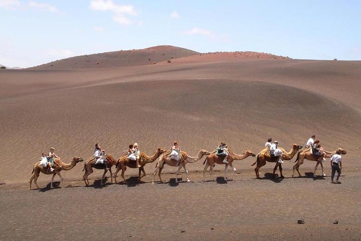 Full Day Tour to Timanfaya, Green Lagoon and La Geria