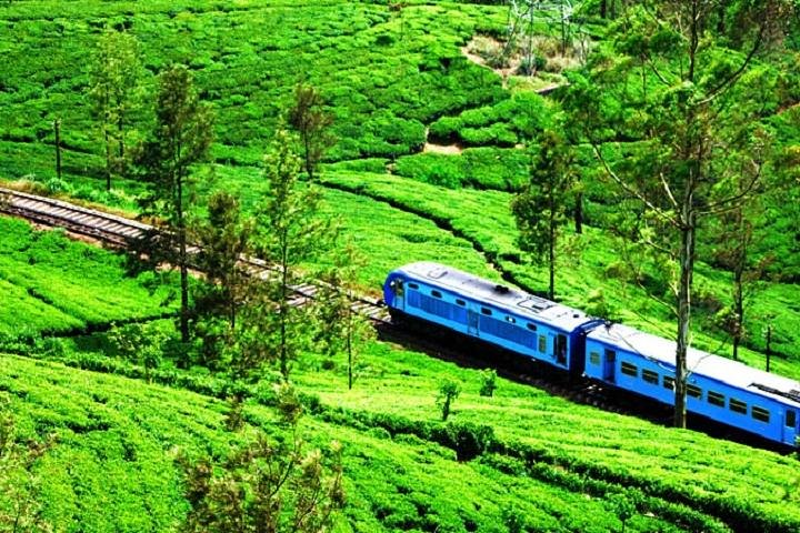 Train Tickets from Nanuoya (NuwaraEliya) to Ella