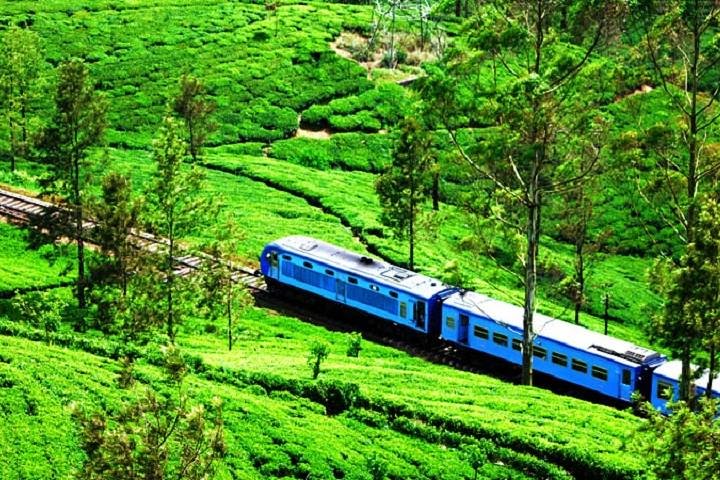 Train Tickets from Ella to Nanuoya (NuwaraEliya)