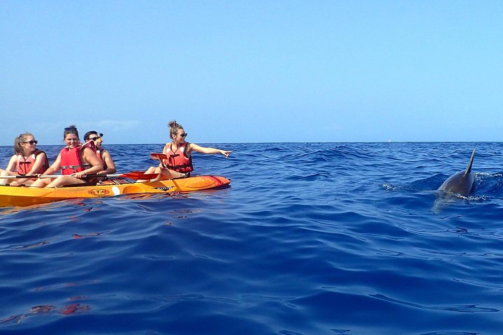 Tenerife: Turtle and Dolphin Kayak Tour with Snorkel and Wetsuit