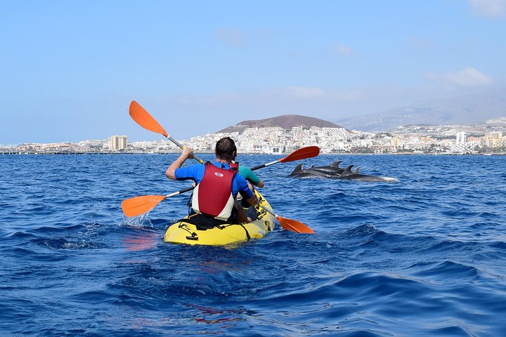Tenerife: Turtle and Dolphin Kayak Tour with Snorkel and Wetsuit