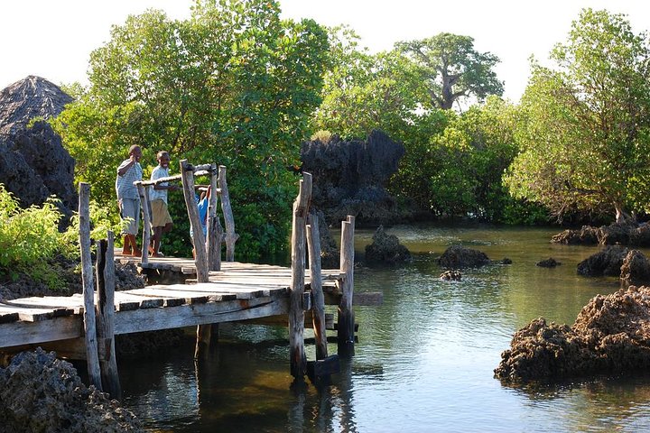 Kisite Marine Park Private Boat Snorkeling with breakfast & Lunch