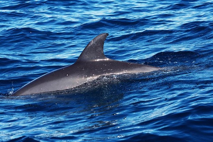 Kisite Marine Park Private Boat Snorkeling with breakfast & Lunch