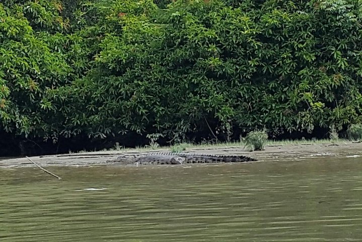 Private Bandar Highlight, Water Village & Proboscis Monkey Tour
