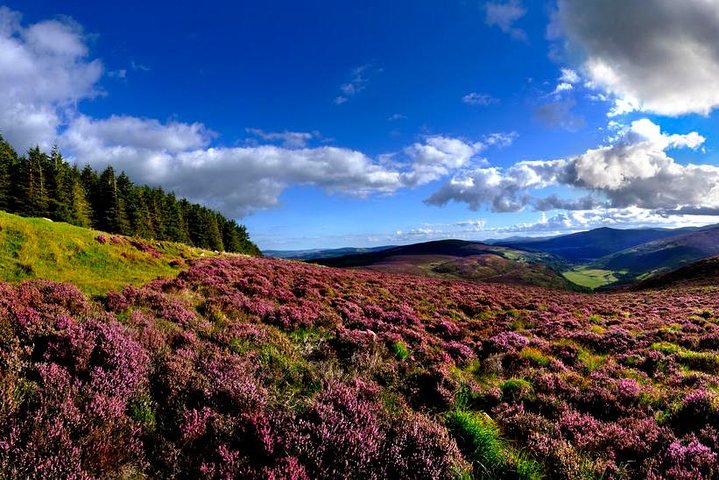 Dublin to Glendalough, Wicklow and Kilkenny Full Day Guided Tour