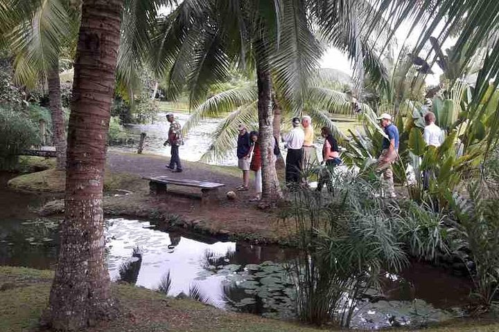 5 Hours Tahiti Island Tour - West and East Coast