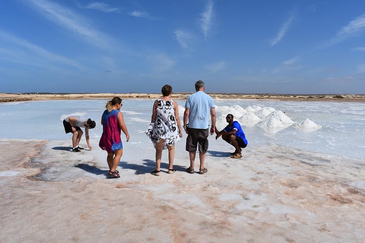 Private Sal Island Tour with Native Certified Guide
