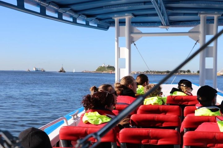 Humpback Whale Encounter Tour from Newcastle